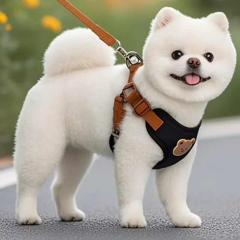 Breathable Dog Harness & Leash Set – Adjustable Vest for Small & Medium Dogs (XS–XL)