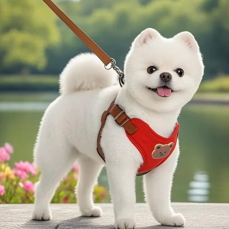 Breathable Dog Harness & Leash Set – Adjustable Vest for Small & Medium Dogs (XS–XL)