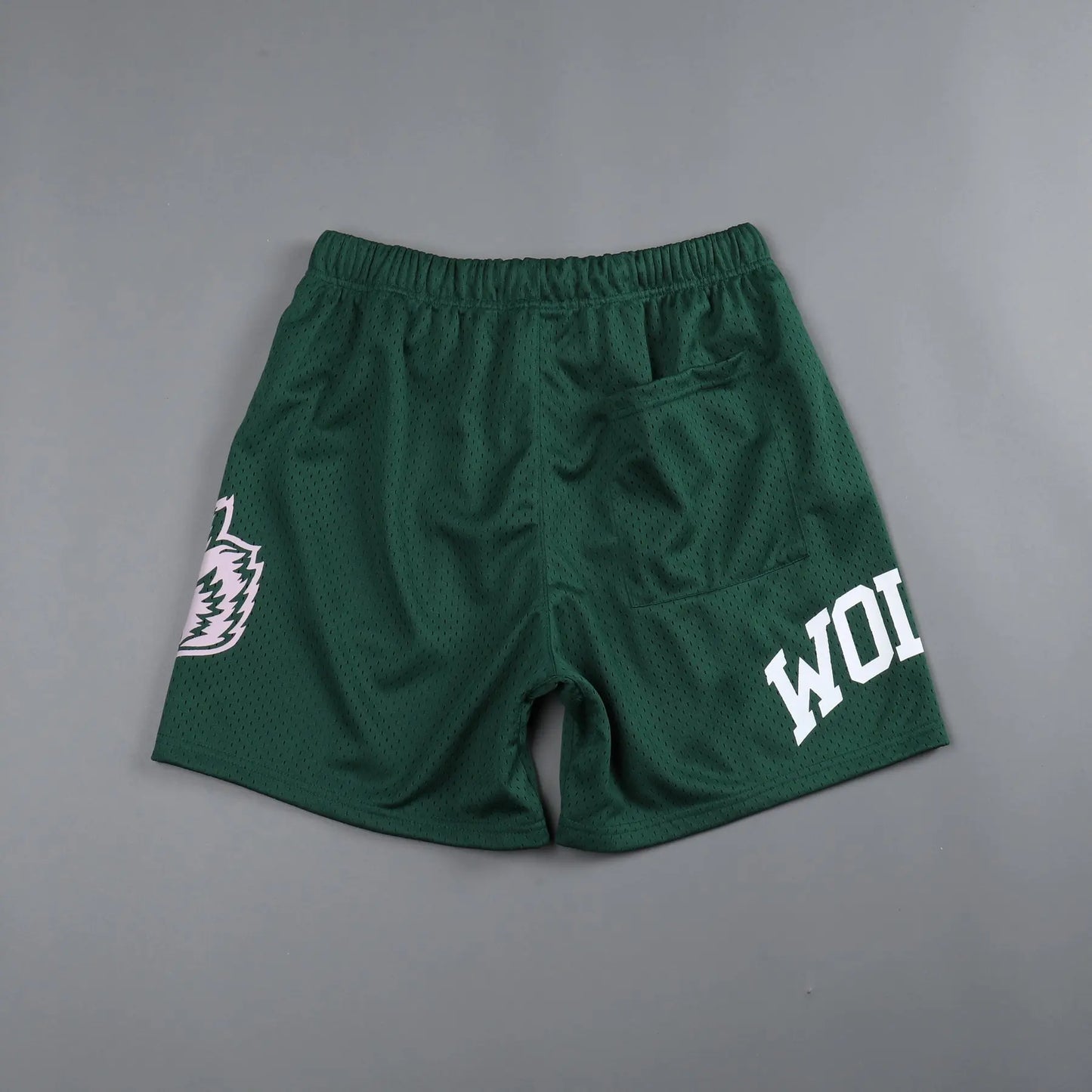 Men Fitness Bodybuilding Shorts Man Summer Gyms Workout Male Breathable Mesh Quick-drying Sportswear Jogger Beach Short Pants
