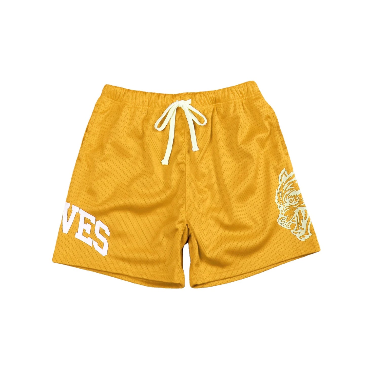 Men Fitness Bodybuilding Shorts Man Summer Gyms Workout Male Breathable Mesh Quick-drying Sportswear Jogger Beach Short Pants