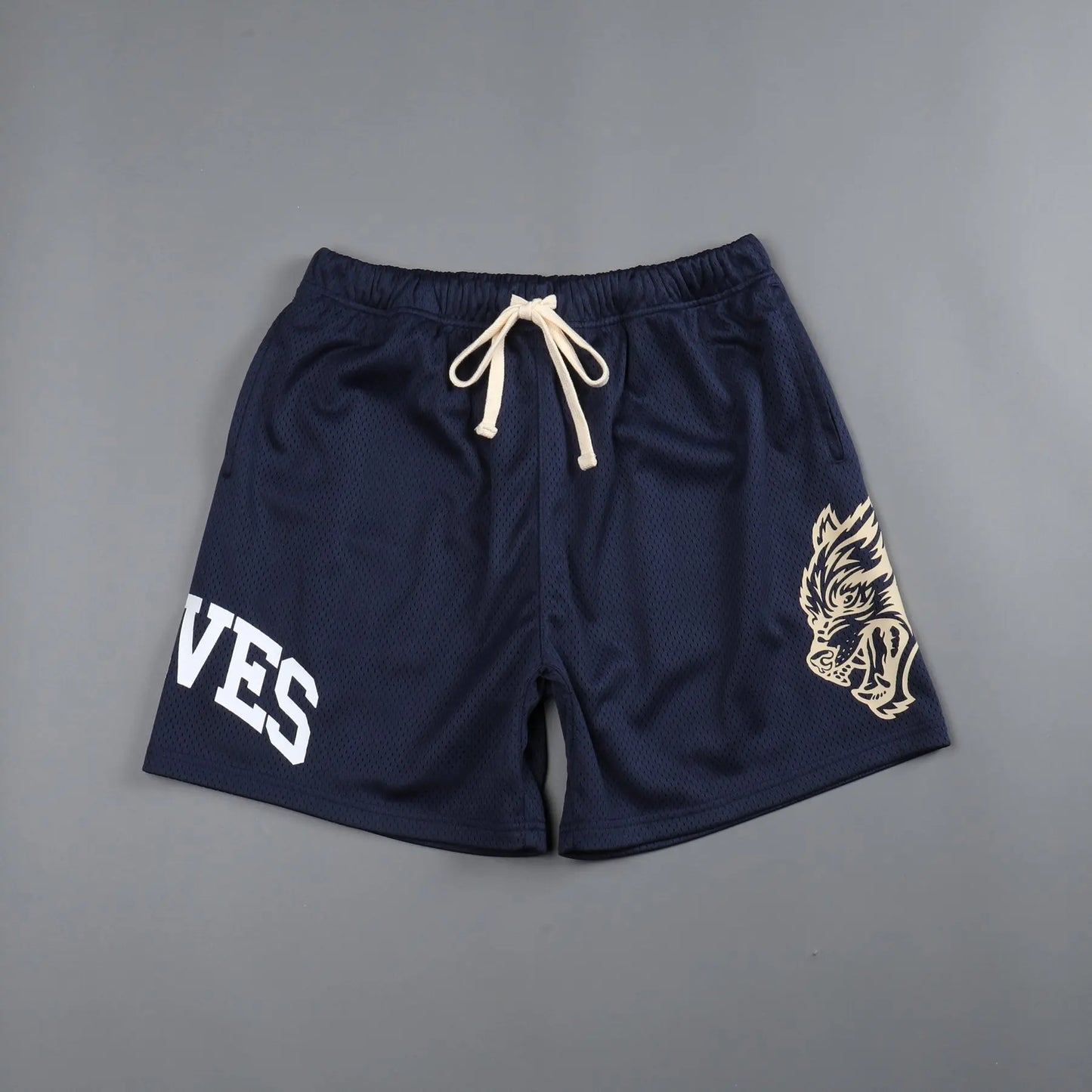 Men Fitness Bodybuilding Shorts Man Summer Gyms Workout Male Breathable Mesh Quick-drying Sportswear Jogger Beach Short Pants